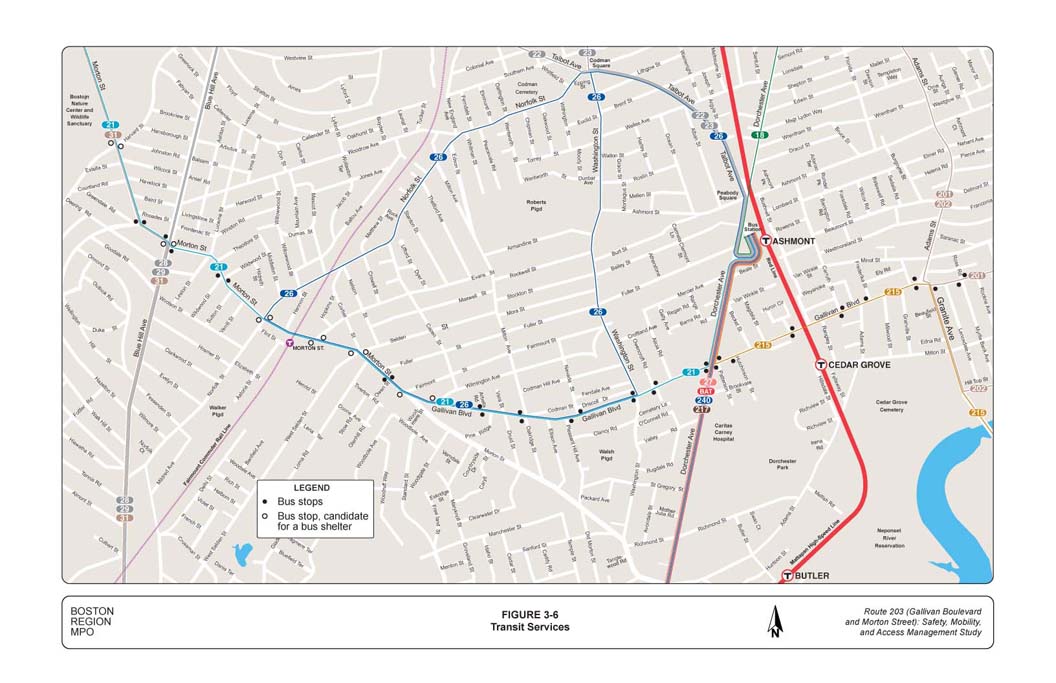 Figure 3-6:  Map showing the transit services in the study area 