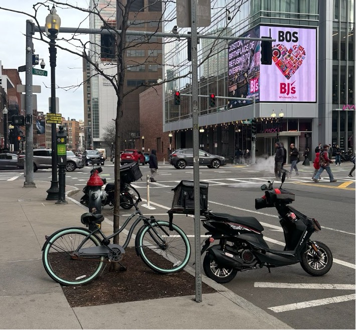 Delivery scooter parked in a striped area and a bicycle tied to a tree due to lack
of designated parking.